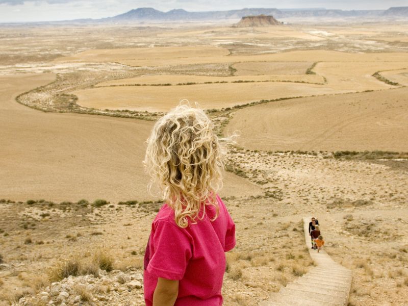 bardena del plano bardenas reales